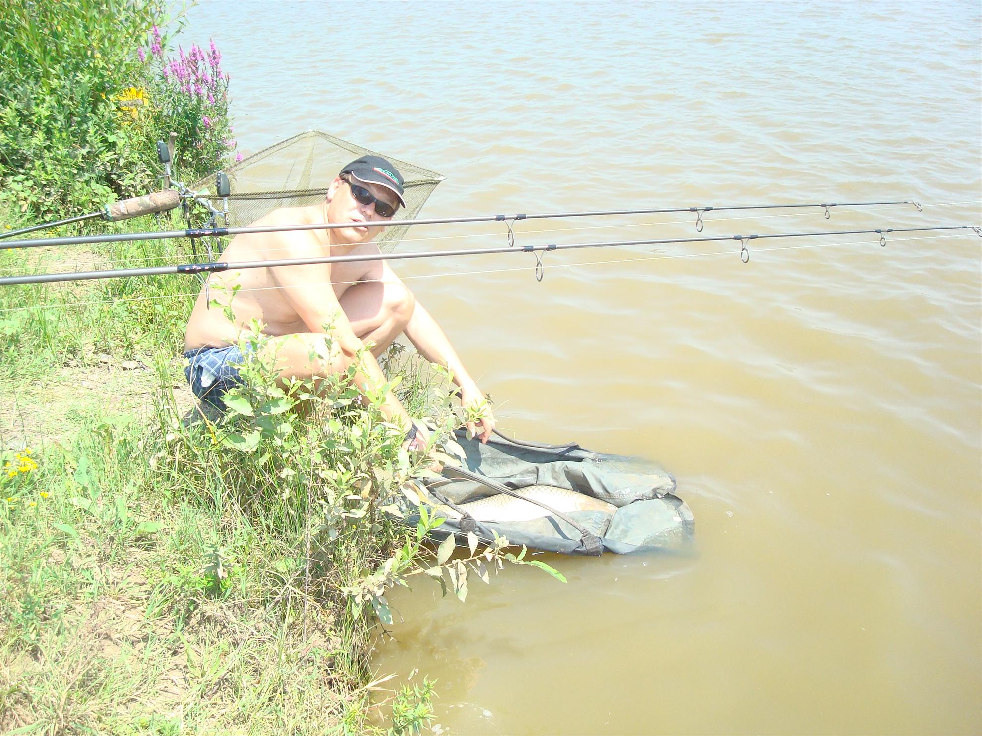 balta de la Topolavatul Mare - dsc06201.JPG